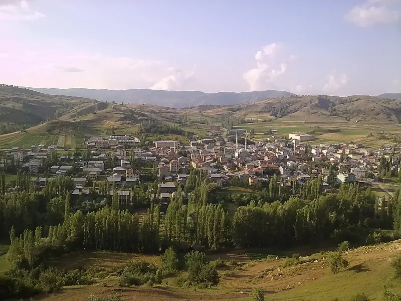 Kavak ağaçları ve tepelerle çevrili Doğanşar ilçe merkezinin genel görünümü