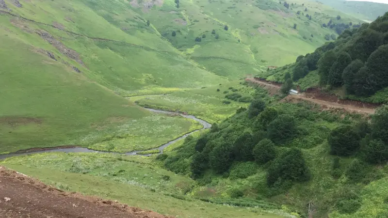 Dere kıyısında yemyeşil çayırlar ve ormanlık yamaçlarla kaplı yayla vadisi