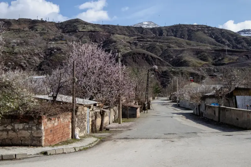 Dağ eteğindeki köy yolunun kenarında çiçek açmış meyve ağaçları ve taş duvarlı evler