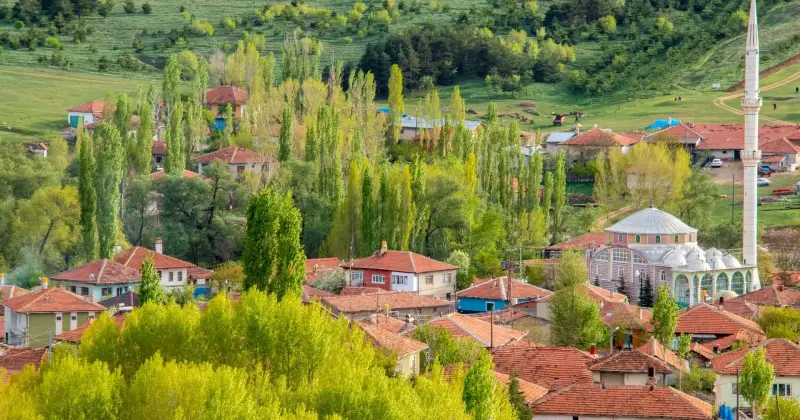 Kavak ağaçları ve yeşil tepeler arasında kırmızı çatılı evleri ve camisiyle bir Anadolu köyü