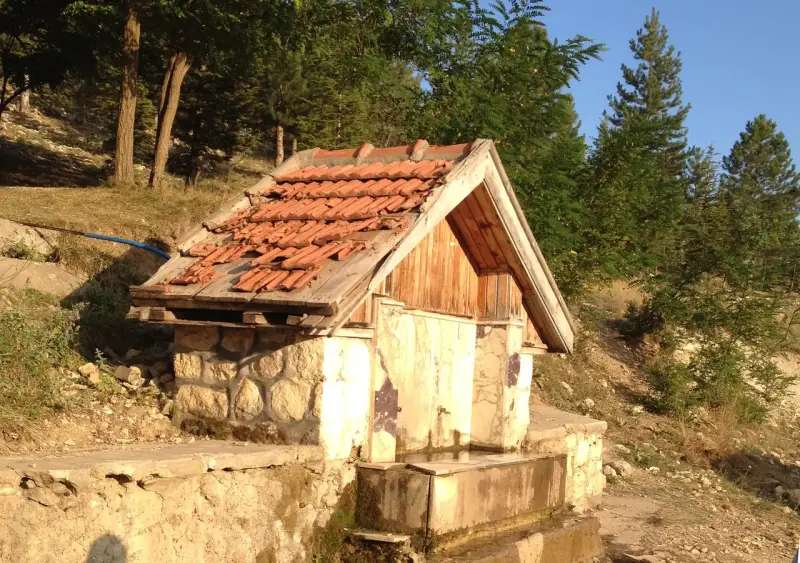 Kiremit çatılı, taş örgülü eski köy çeşmesi ve yalağı, çam ağaçları